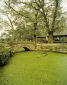 tkf001_309257