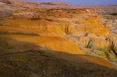 tkf001_310935