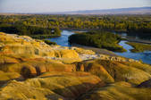 tkf001_310962