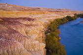 tkf001_311529