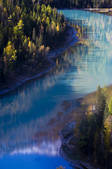 tkf001_312136