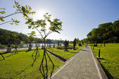 tkf001_312392