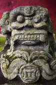 tkf001_312438