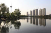 tkf001_333310