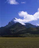 tkf001_337122
