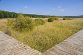 tkf001_337191