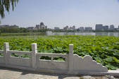 tkf001_337211