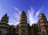 tkf001_337577