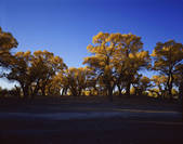 tkf001_337930