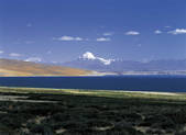tkf001_338486