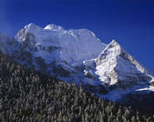 tkf001_338548