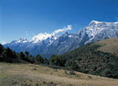 tkf001_338777