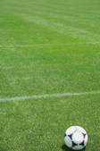 tkf001_342699