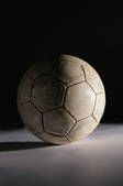 tkf001_343901