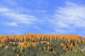 tkf001_753029