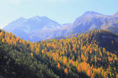 tkf001_753030