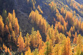 tkf001_753059
