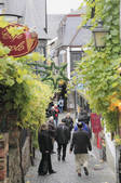 tkf001_753151