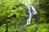 tkf001_754504
