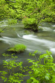 tkf001_754507
