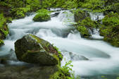 tkf001_754514