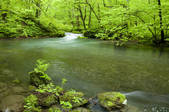 tkf001_754523