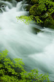 tkf001_754526