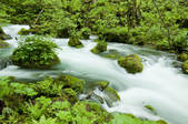 tkf001_754527