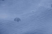 tkf001_754748