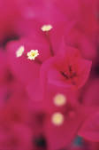 tkf001_769038