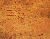 tkf001_775631