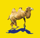 tkf001_783362