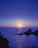 tkf001_790231