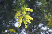 tkf001_791002