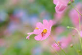 tkf001_792007