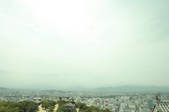 tkf001_794956