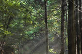 tkf001_795410