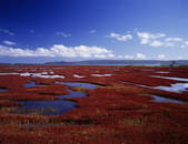 tkf001_797297