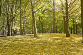 tkf001_797641