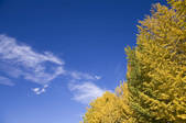 tkf001_798152
