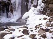 tkf001_805204