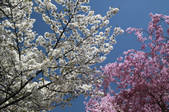 tkf001_808786