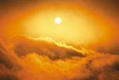 tkf001_809068