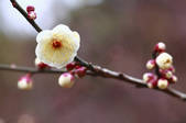 tkf001_809671