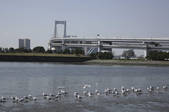 tkf001_811178