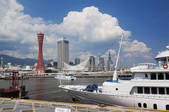 tkf001_812302