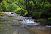 tkf001_813230