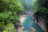 tkf001_813282