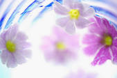 tkf001_813469