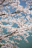 tkf001_815525